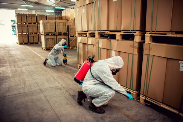 Best Flea Control Services  in Ohkay Owingeh, NM