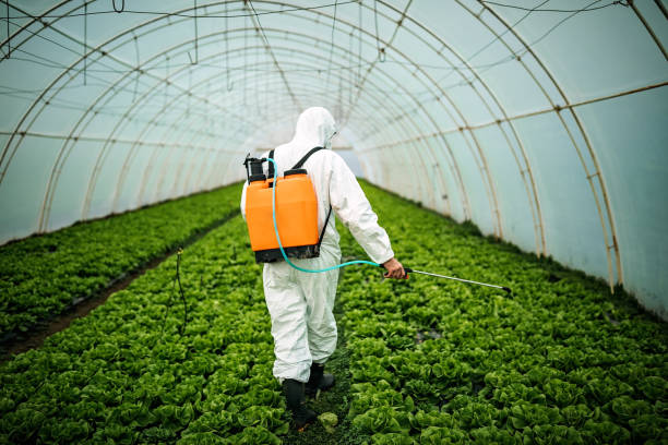 Best Pest Control Near Me  in Ohkay Owingeh, NM