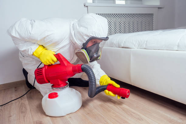 Best Termite Control Services  in Ohkay Owingeh, NM