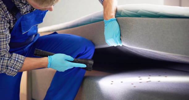 Best Commercial Pest Control Services  in Ohkay Owingeh, NM
