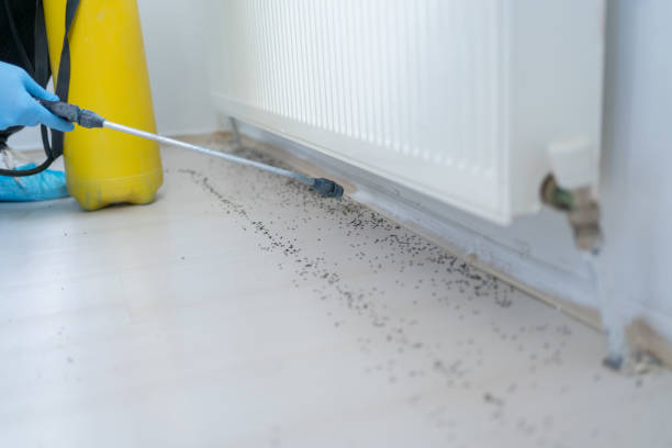 Best Best Pest Control Companies  in Ohkay Owingeh, NM