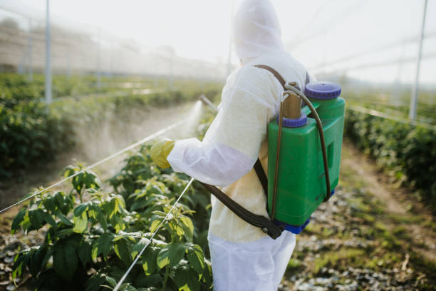 Best Wasp Removal Services  in Ohkay Owingeh, NM